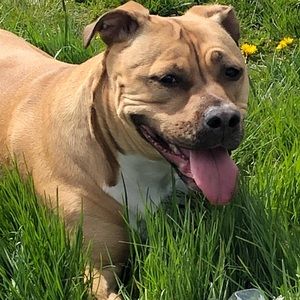 Meet your Posher, Breanna